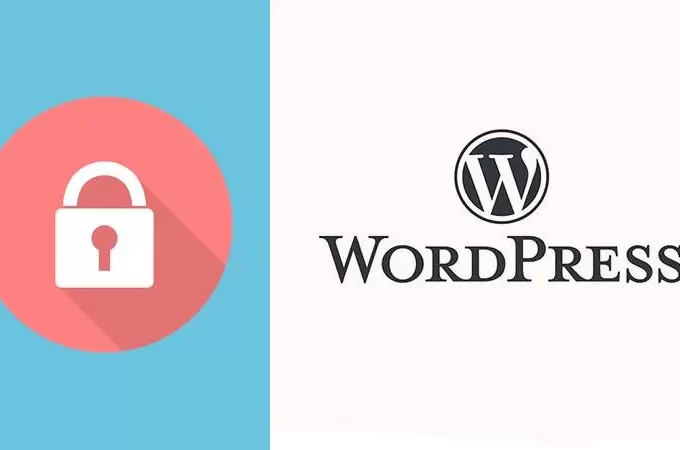 Best WordPress Malware Scanners and Vulnerability Plugins